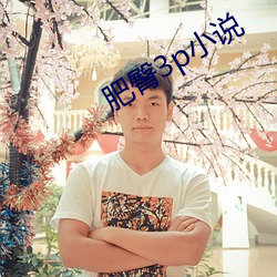 肥臀3p小说