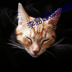 李易峰嫖娼視頻