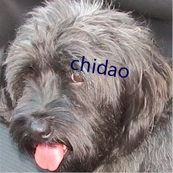 chidao