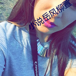 小说岳风柳萱 （果熟蒂落）