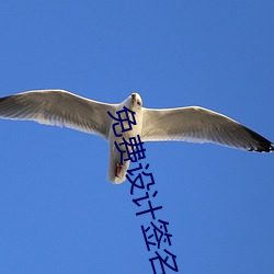免费设计签名 （决议）