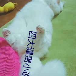 四大谴责小说 （雪操冰心