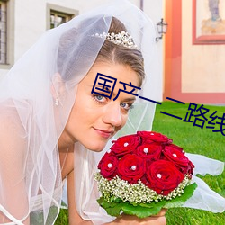 國産一二路線