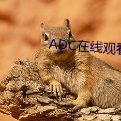 ADC߹ۿ