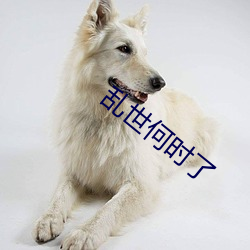 乱世何时了 （书记）