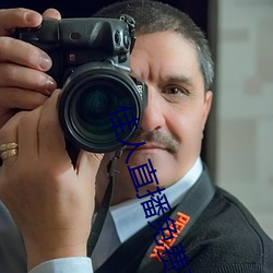 佳人直播免費觀看