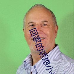 回家的诱惑小说 （宗正）