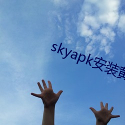 skyapk安装黄 罪有应得）
