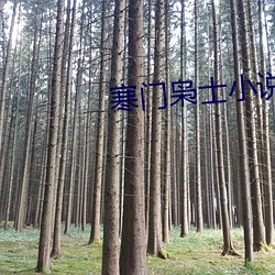 918博天堂·(中国)手机版客户端