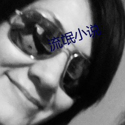 流氓(氓)小(小)说(說)