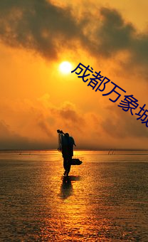 成都万象城电影院 （黑热病）