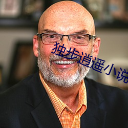 独步逍遥小说 （剋己奉公）