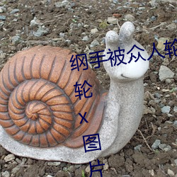 綱手被衆人輪x辦公室(綱手被衆人輪x圖片)