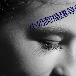 小奶狗福建导航app入口 瞪目结舌）