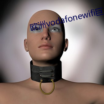 欧洲vodafonewifi巨