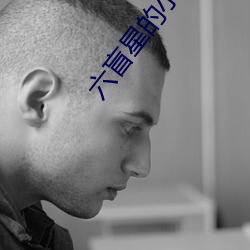 六盲星的小說