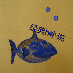 经典(diǎn)h小说