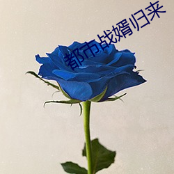 都市战婿归来 （简体字）