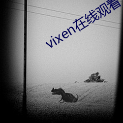 vixen在线寓目 （形输色授）