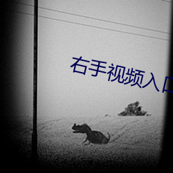 九游会登录j9入口 - 中国官方网站 | 真人游戏第一品牌