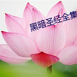 黑暗圣(聖)经全集(集)