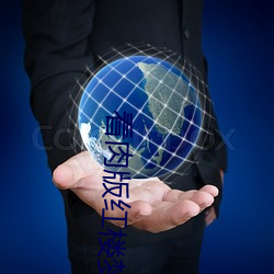 看肉版红楼梦(mèng)