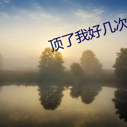 顶了我好几(jǐ)次