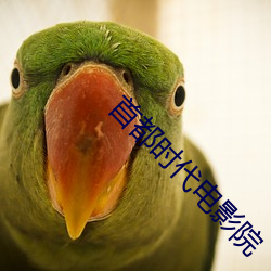 首都时代电影院