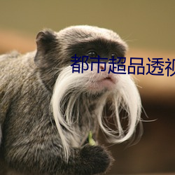 都市超品透视仙医