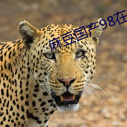 麻豆国产98在线(xiàn)