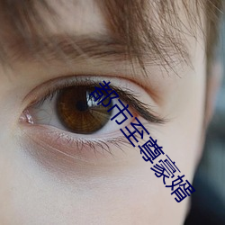 都市至(至)尊豪婿(婿)