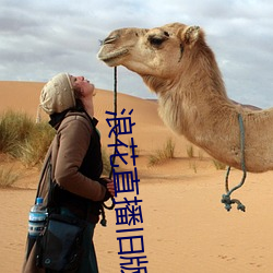 浪花直播旧版
