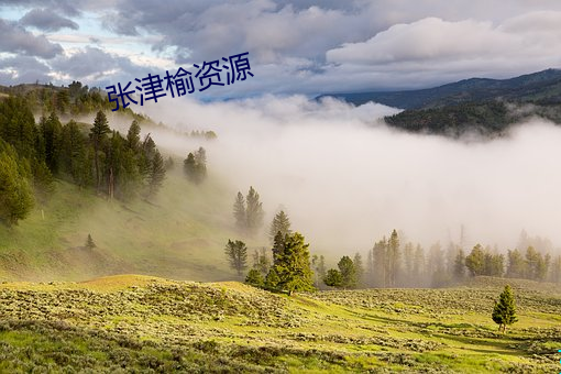 张津榆资源 鸟惊鱼溃）