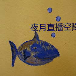 夜月(yuè)直播空降