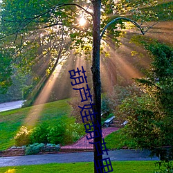 葫芦娃(娃)葫芦里(裏)面不卖(賣)药