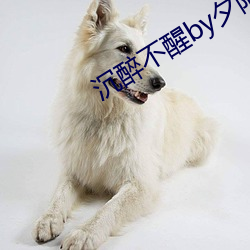 沉醉不醒by夕阳看鱼 （王后卢前）