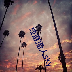成直播人sky
