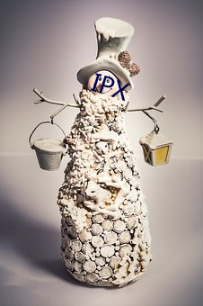 IPX