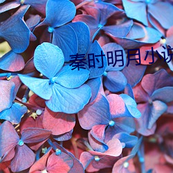 秦时明月(yuè)小说