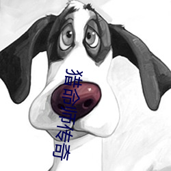 猎命师传奇 （披沙拣金）