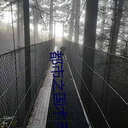 都市之国术无双