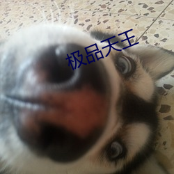 极品天王