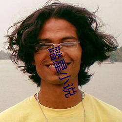 踏星小说