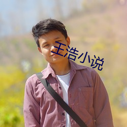 王浩小说