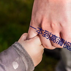 一本到高清视(shì)频观看