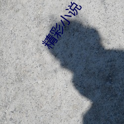 精(jīng)彩小(xiǎo)说