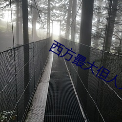 西方最大但人文艺术视频(pín)