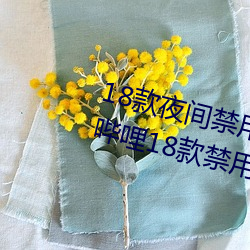 18款夜間禁用軟件入口視頻(哔哩哔哩18款禁用軟件入口)