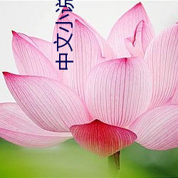 中(中)文小(小)说(說)