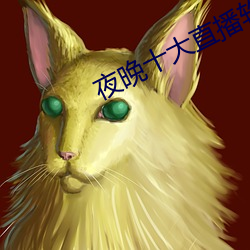夜晚十大(dà)直(zhí)播(bō)软件